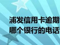 浦发信用卡逾期协商还款的流程（95595是哪个银行的电话）