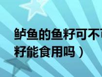 鲈鱼的鱼籽可不可以吃 有营养吗（鲈鱼的鱼籽能食用吗）