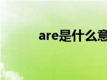 are是什么意思（at是什么意思）