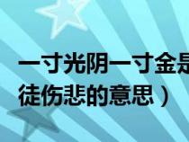 一寸光阴一寸金是什么意思（少壮不努力老大徒伤悲的意思）