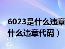 6023是什么违章代码能罚200元吗（6023是什么违章代码）