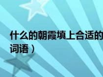 什么的朝霞填上合适的词语两个字（什么的朝霞填上合适的词语）