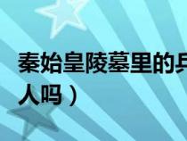 秦始皇陵墓里的兵马俑是真人吗（兵马俑是真人吗）