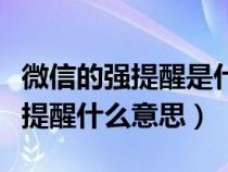 微信的强提醒是什么意思是什么意思（微信强提醒什么意思）