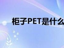 柜子PET是什么意思（pet是什么意思）