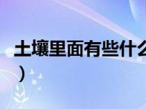 土壤里面有些什么动物（土壤里面都有些什么）