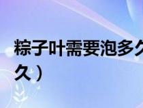 粽子叶需要泡多久才能包粽（粽子叶需要泡多久）