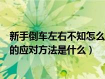 新手倒车左右不知怎么打方向（新手学车倒车方向左右不分的应对方法是什么）