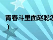 青春斗里面赵聪怎么了（青春斗赵聪家怎么了）