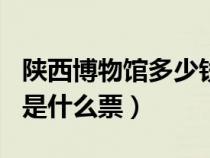 陕西博物馆多少钱一张票（陕西博物馆300元是什么票）