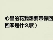 心里的花我想要带你回家什么歌春晚（心里的花我想要带你回家是什么歌）