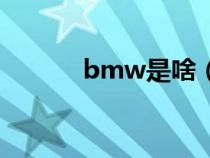 bmw是啥（bmw是什么汽车）