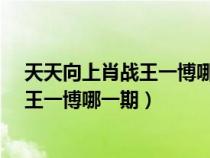 天天向上肖战王一博哪一期_视频在线观看（天天向上肖战王一博哪一期）