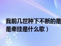 我前几世种下不断的是牵挂动漫动画（我前几世种下不断的是牵挂是什么歌）