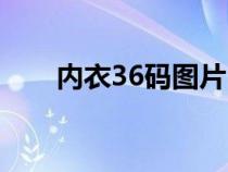 内衣36码图片（36内衣尺码明细表）