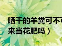 晒干的羊粪可不可以养花?（晒干的羊粪能拿来当花肥吗）