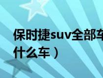 保时捷suv全部车型中文名（保时捷zotye是什么车）