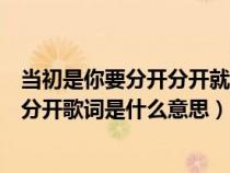 当初是你要分开分开就分开下一句（当初是你要分开分开就分开歌词是什么意思）