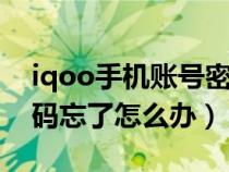 iqoo手机账号密码忘了怎么办（手机账号密码忘了怎么办）