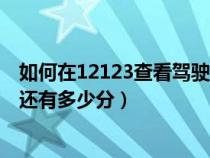 如何在12123查看驾驶证还有多少分（12123如何查驾驶证还有多少分）