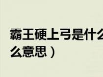 霸王硬上弓是什么意思解释（霸王硬上弓是什么意思）