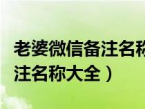 老婆微信备注名称大全粤语搞笑（老婆微信备注名称大全）