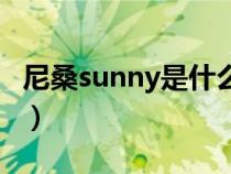 尼桑sunny是什么车型（尼桑sunny是什么车）