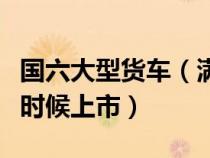 国六大型货车（满足国六排放的大货车会什么时候上市）