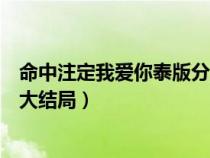 命中注定我爱你泰版分集介绍（命中注定我爱你泰版普通话大结局）