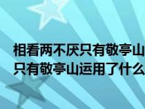 相看两不厌只有敬亭山表达了诗人怎样的情感（相看两不厌只有敬亭山运用了什么修辞手法）