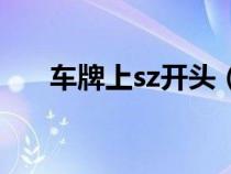 车牌上sz开头（牌照sz开头是什么车）