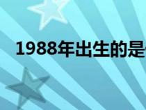 1988年出生的是什么命（1989年属什么）