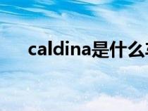 caldina是什么车（cavalier是什么车）