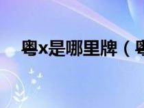 粤x是哪里牌（粤x牌是广东什么地方的）