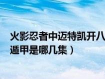 火影忍者中迈特凯开八门是第几集（火影忍者迈特凯开八门遁甲是哪几集）