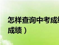 怎样查询中考成绩2023河南（怎样查询中考成绩）