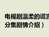 电视剧温柔的谎言分集剧情介绍（温柔的谎言分集剧情介绍）