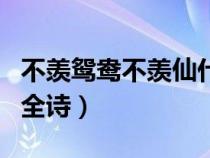 不羡鸳鸯不羡仙什么意思（不羡鸳鸯不羡仙的全诗）