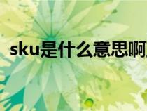 sku是什么意思啊亚马逊（sku是什么意思）