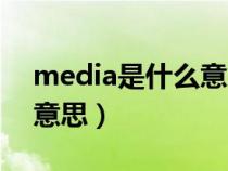 media是什么意思中文（media在车上什么意思）