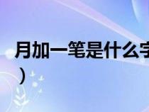 月加一笔是什么字一年级（月加一笔是什么字）