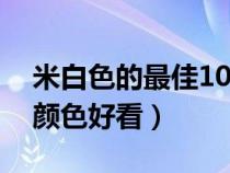 米白色的最佳10种颜色搭配（米色搭配什么颜色好看）