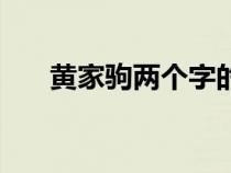 黄家驹两个字的歌名（两个字的歌名）