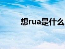 想rua是什么意思（rua是什么梗）