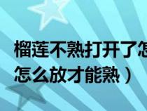 榴莲不熟打开了怎么催熟（打开的榴莲不熟要怎么放才能熟）