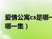 爱情公寓cs是哪一季（爱情公寓打cs是哪一部哪一集）