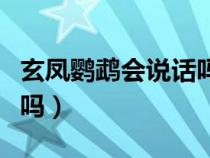 玄凤鹦鹉会说话吗怎么训练（玄凤鹦鹉会说话吗）