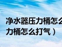 净水器压力桶怎么打气没有压力表（净水器压力桶怎么打气）