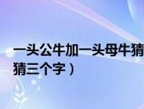 一头公牛加一头母牛猜三个字是什么（一头公牛加一头母牛猜三个字）