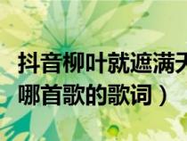 抖音柳叶就遮满天什么歌（柳叶就遮满了天是哪首歌的歌词）